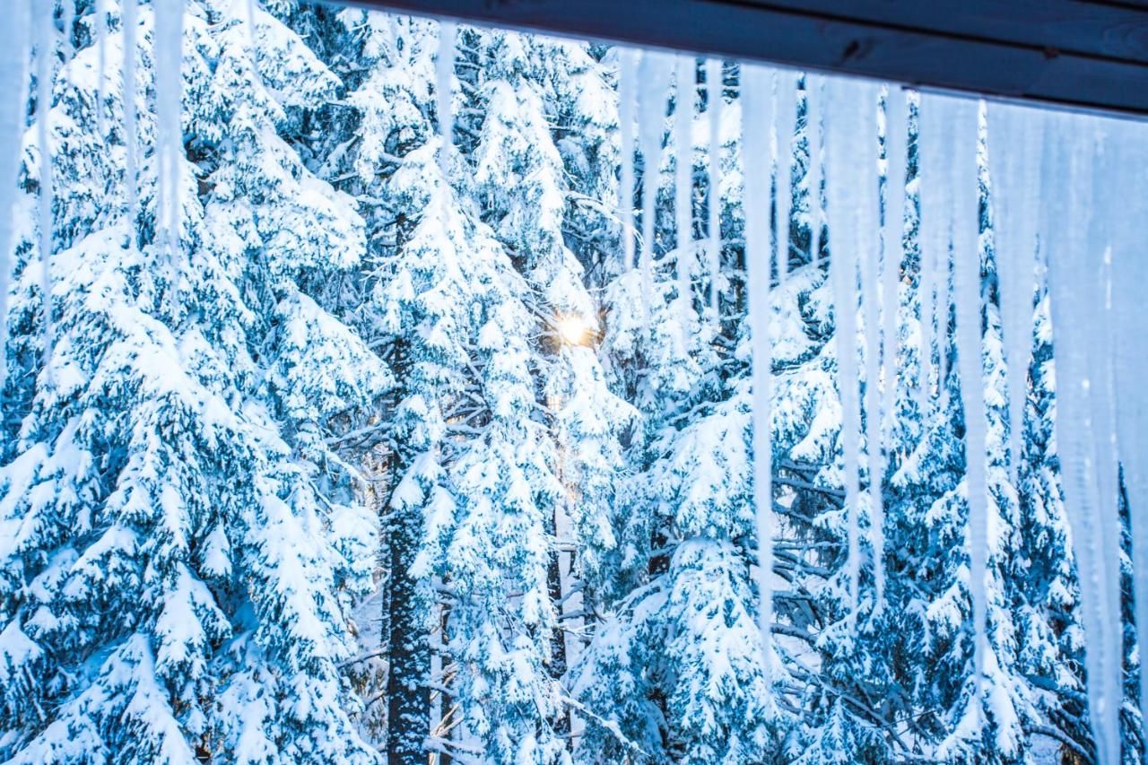Отель Sunny Hills Ski&Wellness Пампорово