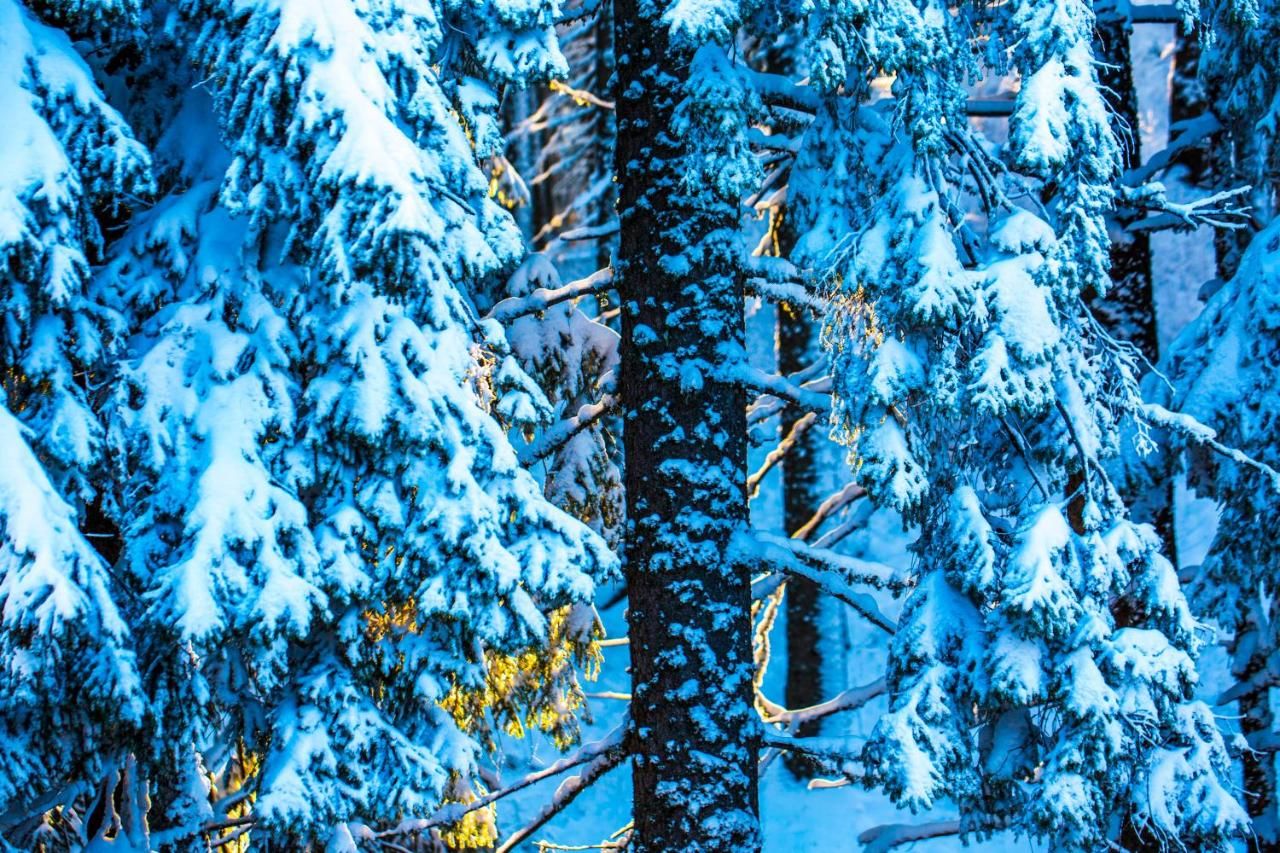 Отель Sunny Hills Ski&Wellness Пампорово-15