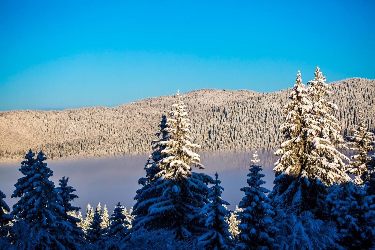 Отель Sunny Hills Ski&Wellness Пампорово-7