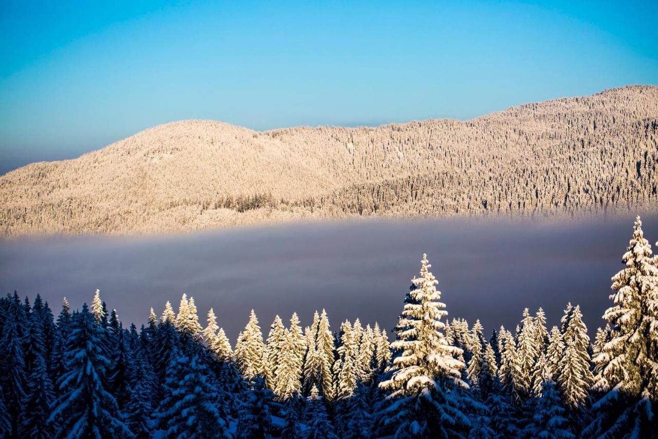 Отель Sunny Hills Ski&Wellness Пампорово-11